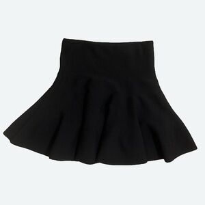 Black Express Body Contour Knit Mini Skirt